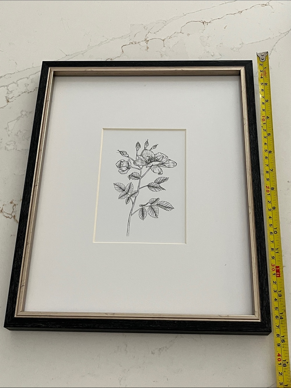 Photo Frame or Botanical Sketch Framed Art in Black and White
